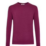 Magenta crew neck sweater